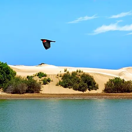 Hotel Tamara Maspalomas (Gran Canaria)